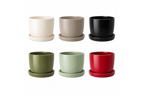 Porcelain Pot for Pachira